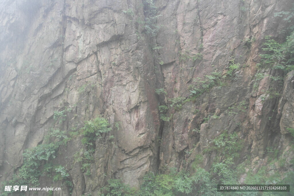 雾中嶙峋山石与绿植