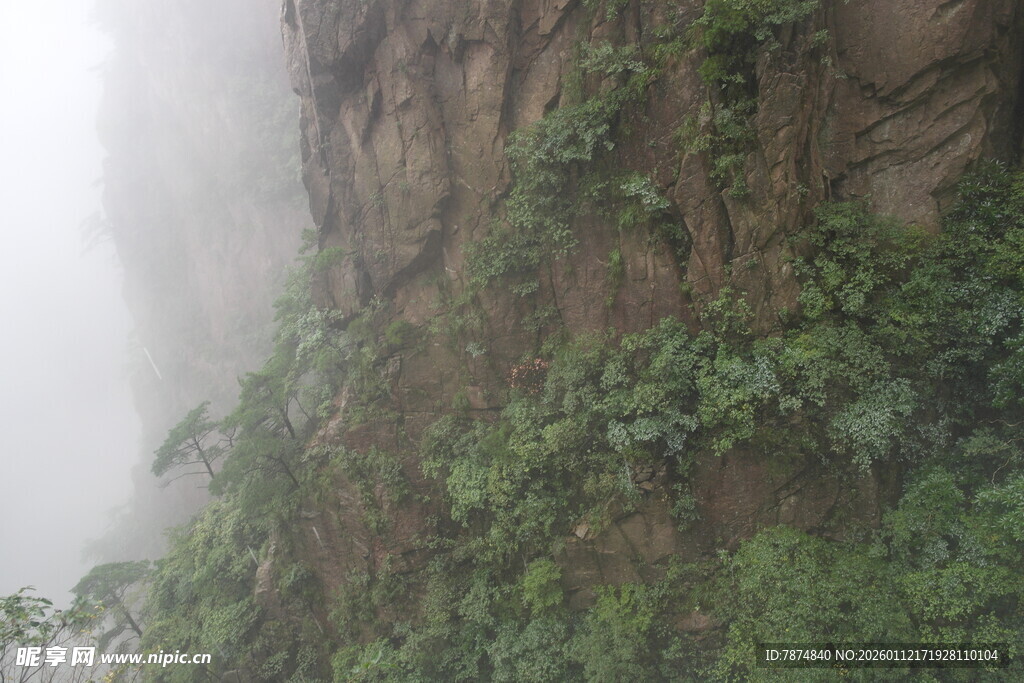 云雾缭绕的峭壁绿植景观
