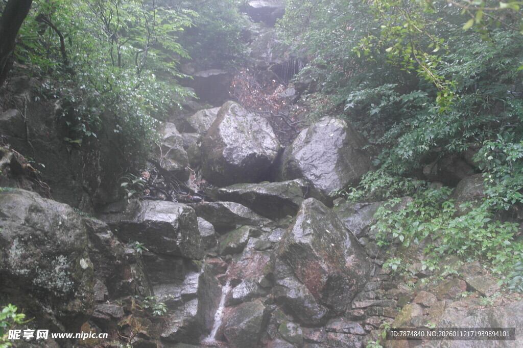 山间嶙峋石径 绿意环绕