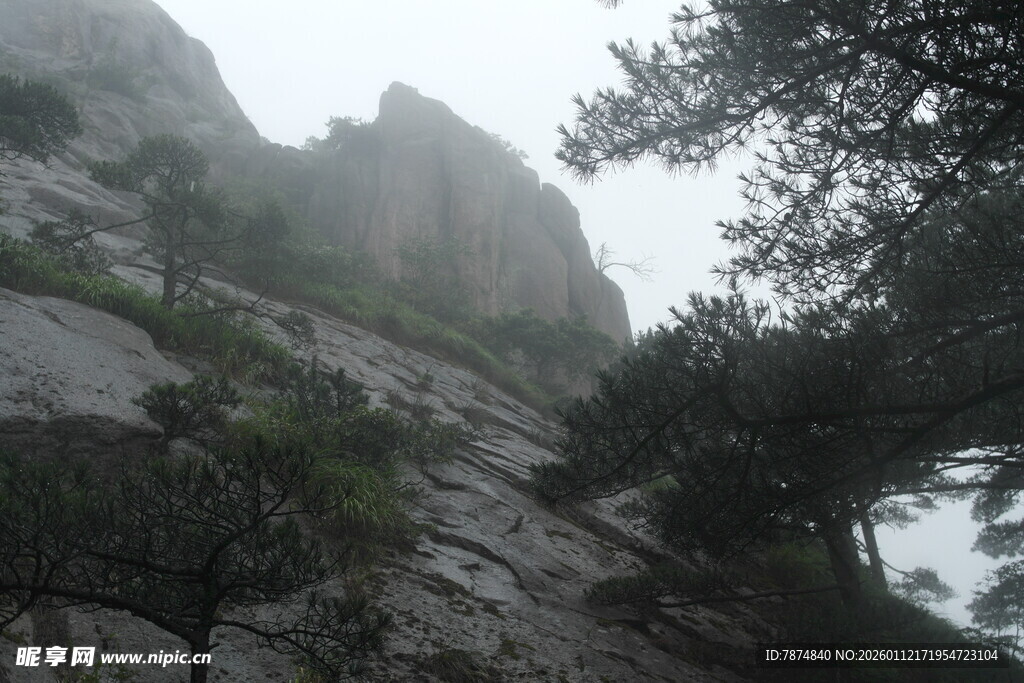 山间云雾缭绕的岩石与树木