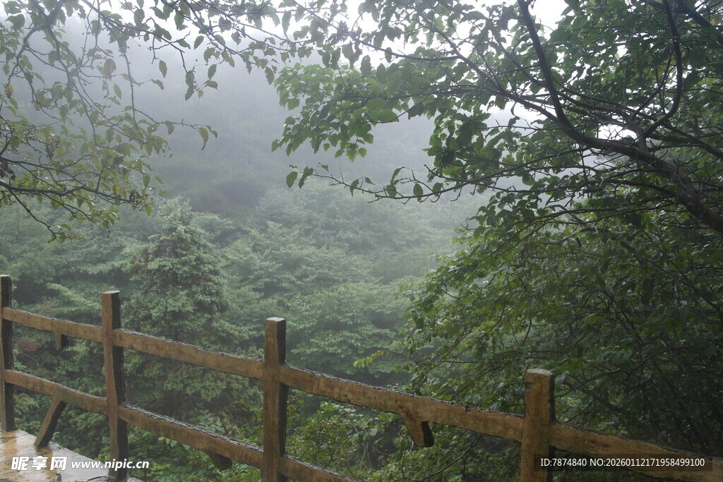 雾中山林木栈道景观