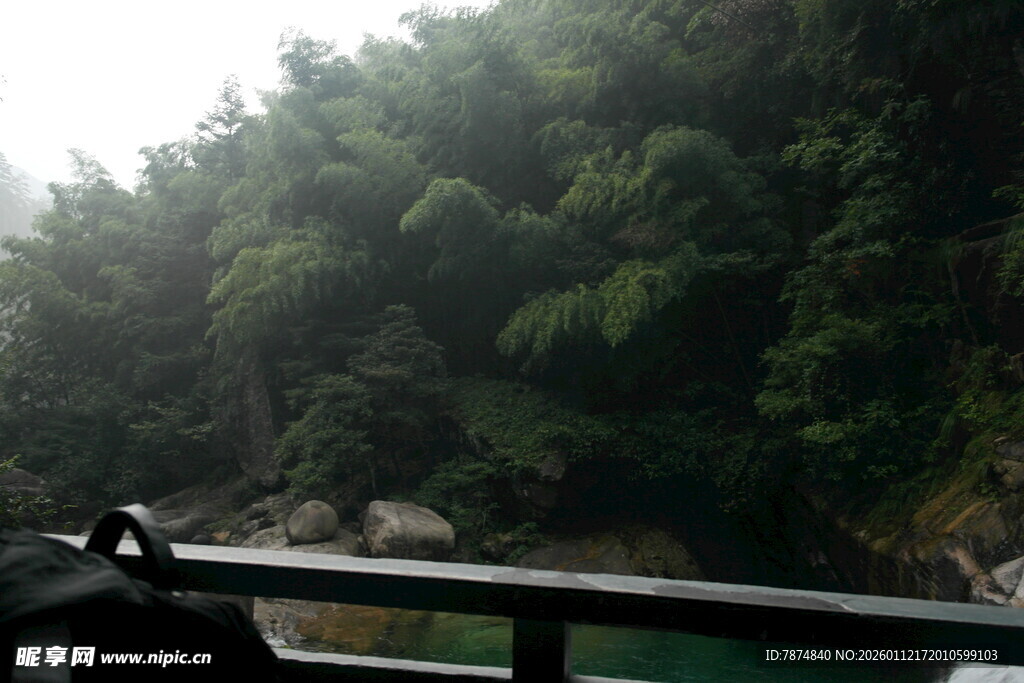 乘船赏山林绿意美景