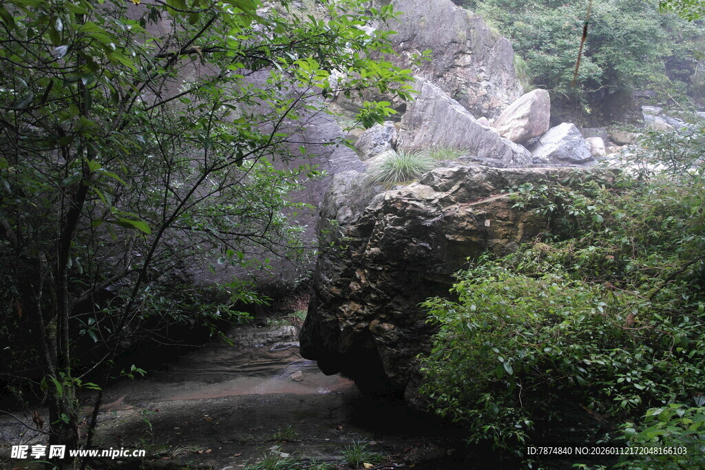 林间小径 自然清幽之景