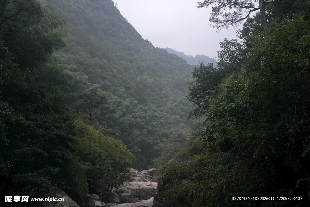 山间溪流 绿意盎然的景致