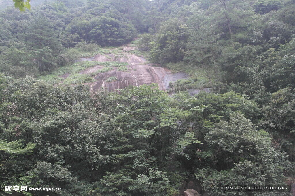 俯瞰葱郁山林间蜿蜒小径
