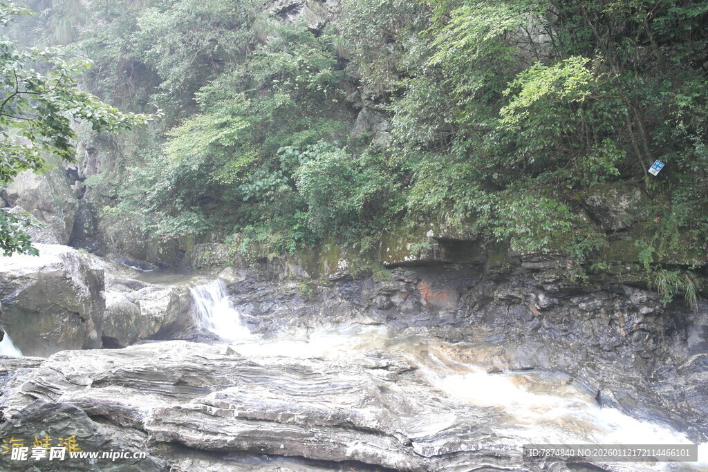 山间湍急溪流与繁茂植被