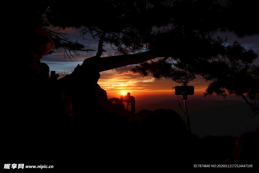 夕阳下的树影与天际美景