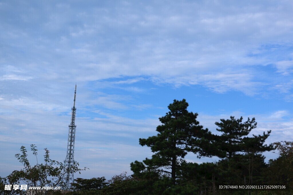 蓝天绿树间的高耸电视塔