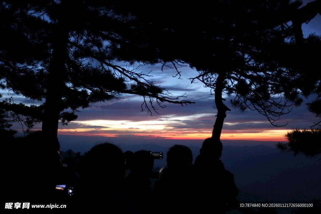 黄昏时分林间的美丽天际