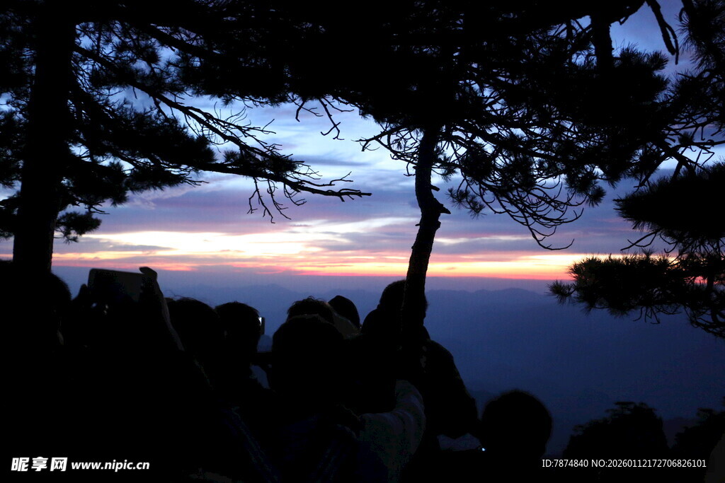 湖畔暮色中树影与湖景