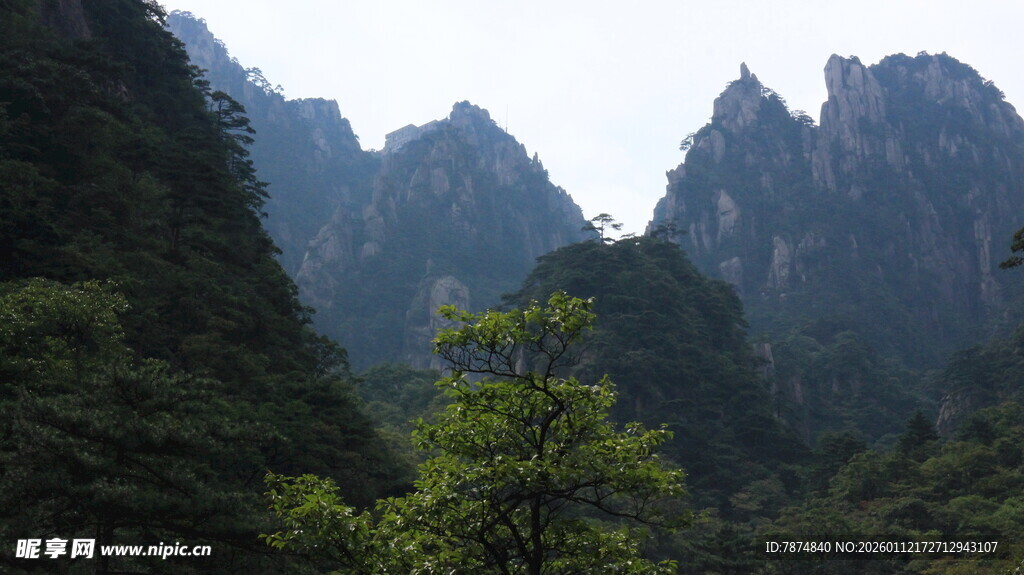 秀丽群山间的绿意景致