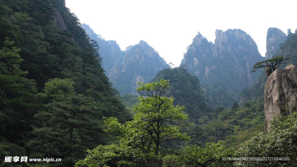 壮美山峦与葱郁林木景观