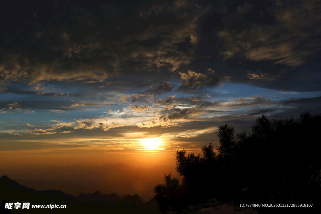 日落时分的天空与树木景观