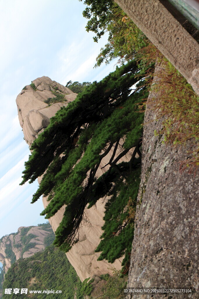 山间苍松与远处奇峰