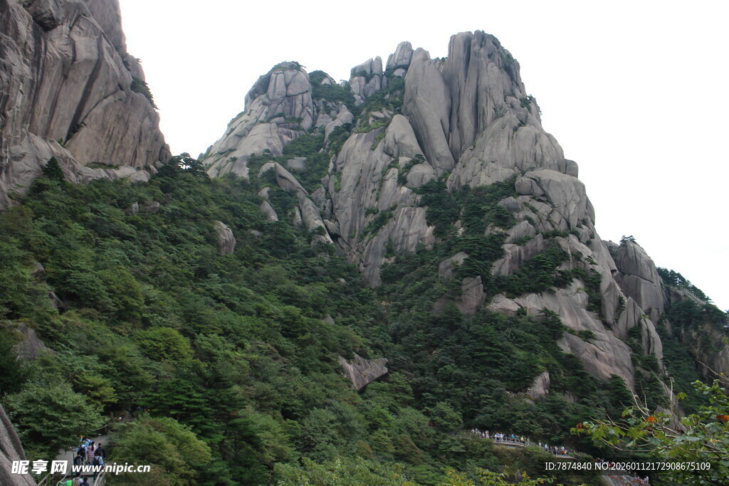 峻峭山峰覆绿植