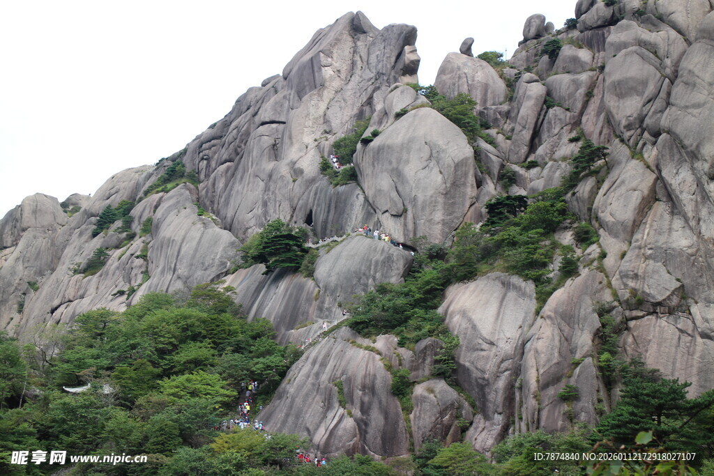 嶙峋山石与绿意相伴