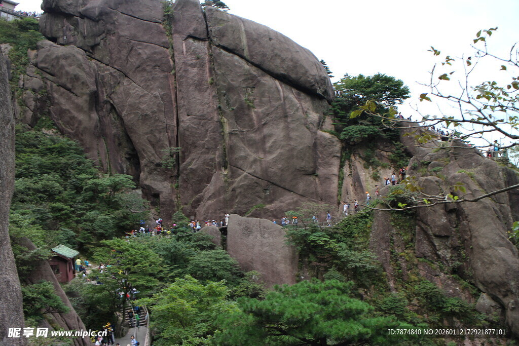 巍峨山石旁的葱郁绿植