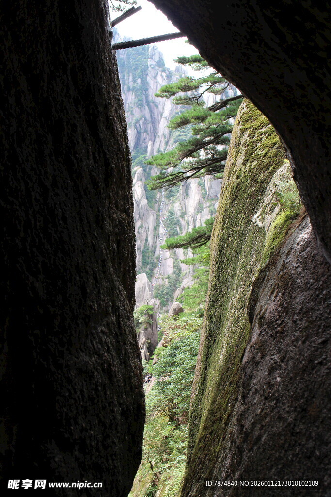 峡谷间的翠绿景致