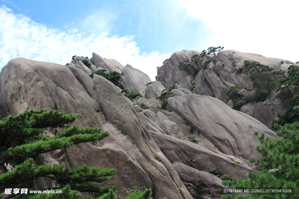 巍峨山峰与葱郁松树景观