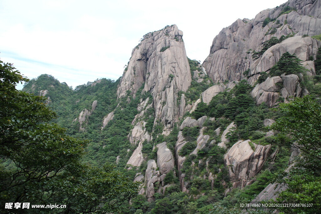巍峨山峦与葱郁植被景观