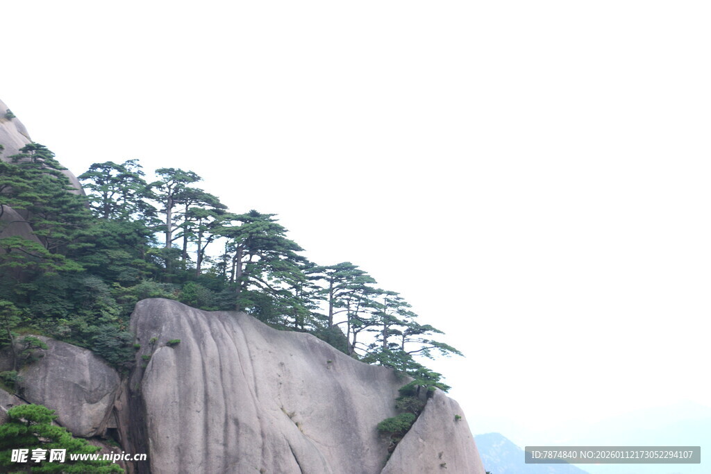陡峭山峰上的翠绿松树
