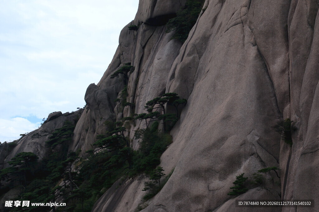 陡峭山壁上的零星绿植