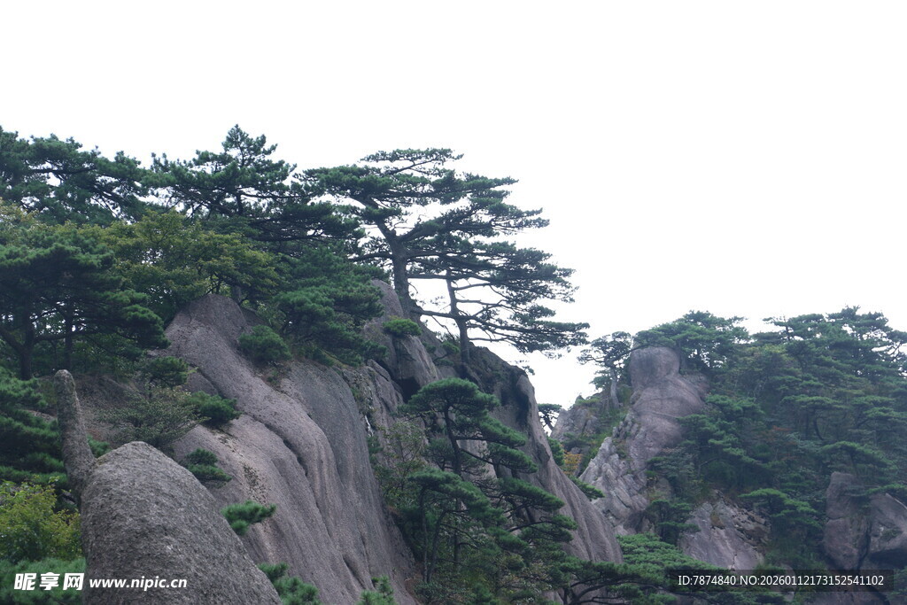 峻峭山峰上的葱郁松树