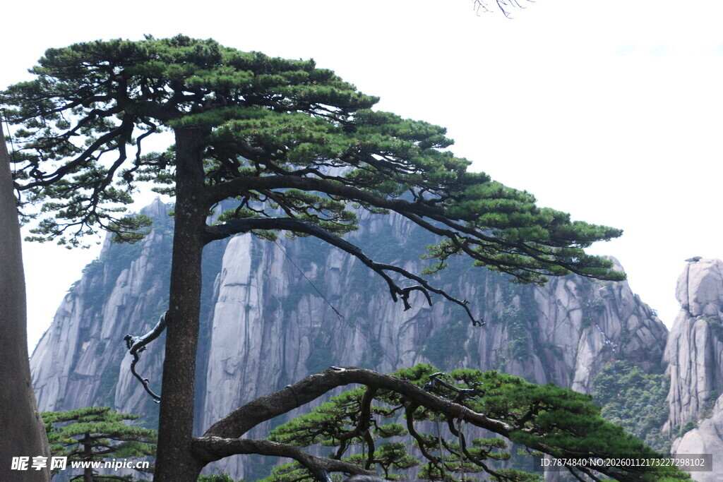 黄山迎客松 奇峰相伴景