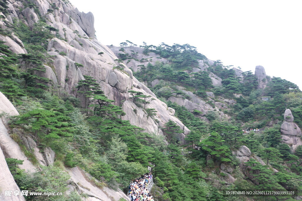 峻峭山峦覆绿植