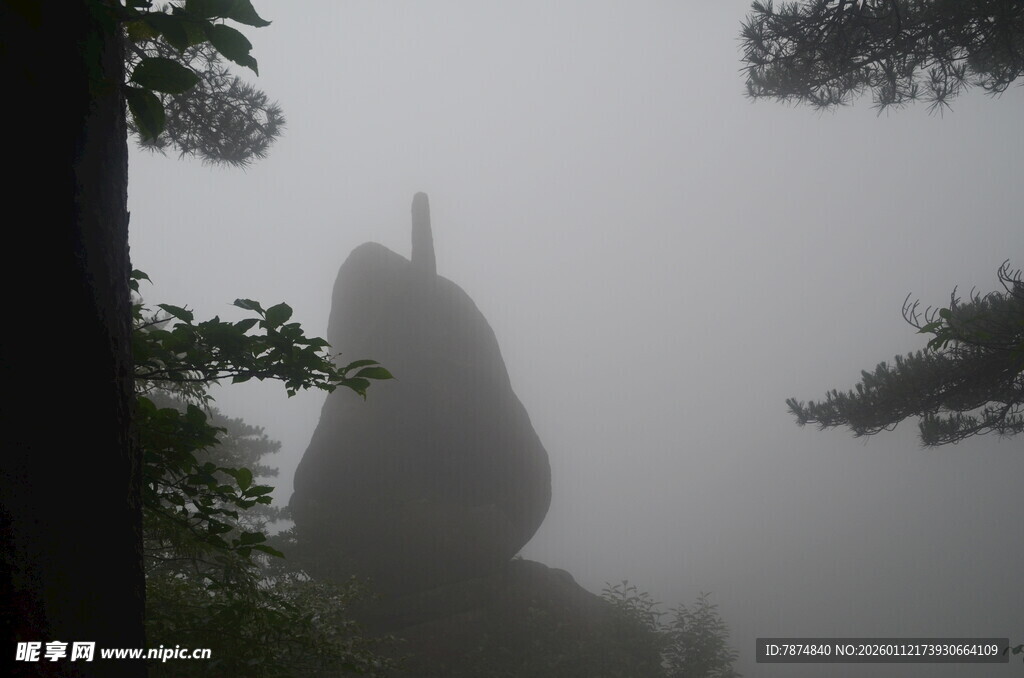 雾中奇石景观