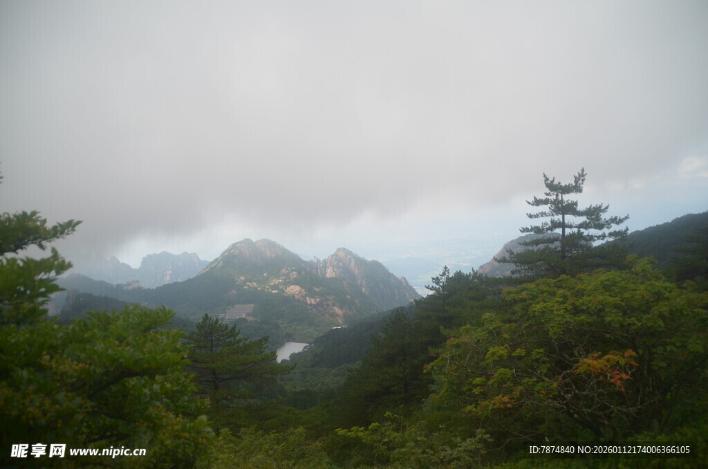 云雾缭绕的山林景致