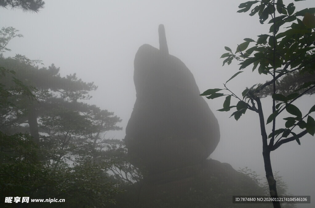 雾中奇特山石景观