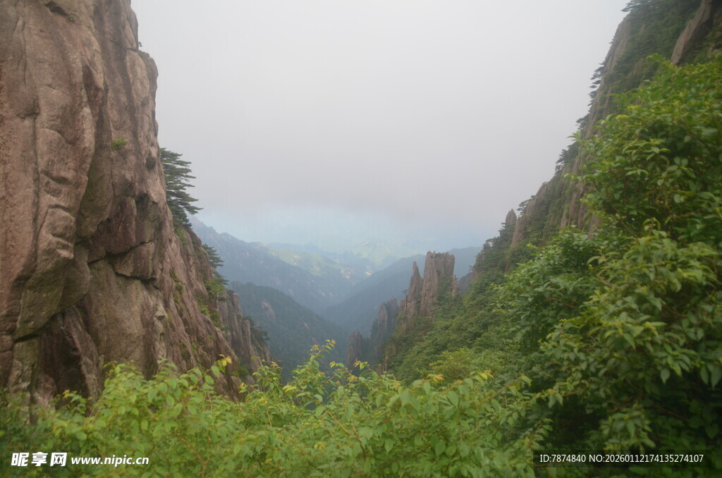 壮丽山景与葱郁植被