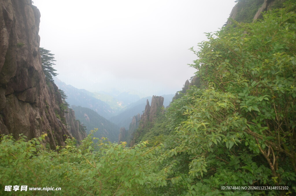 山间绿意盎然的壮丽景色
