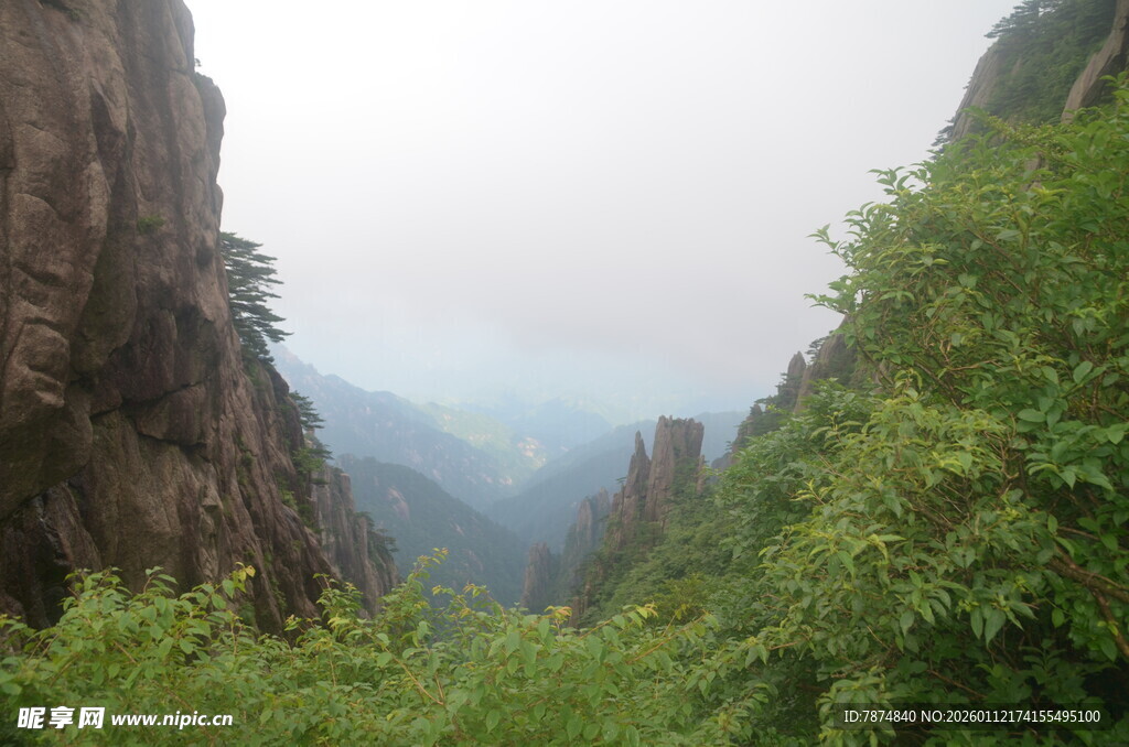 山间绿意盎然的壮丽峡谷