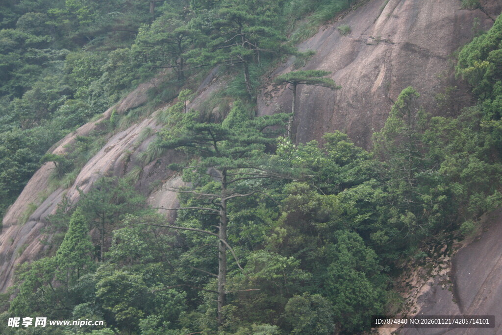 山林覆盖的陡峭岩石景观