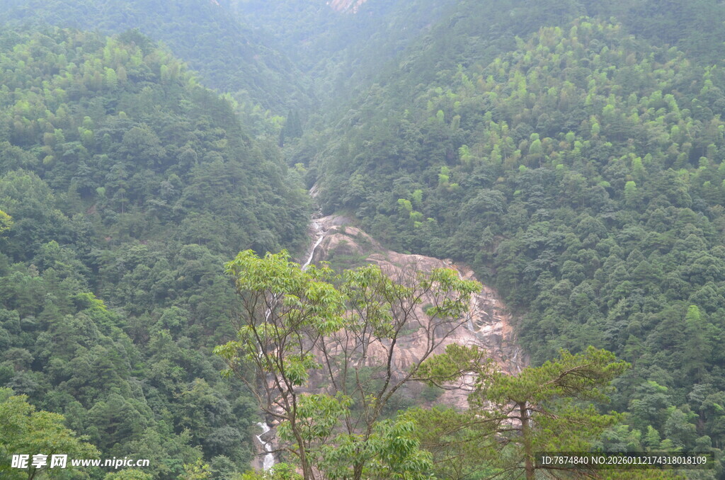 山间绿意盎然的河谷风光