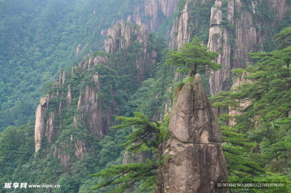 奇峰耸立的壮美山林景观