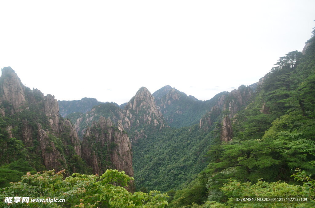 秀丽山峦间的葱郁景致