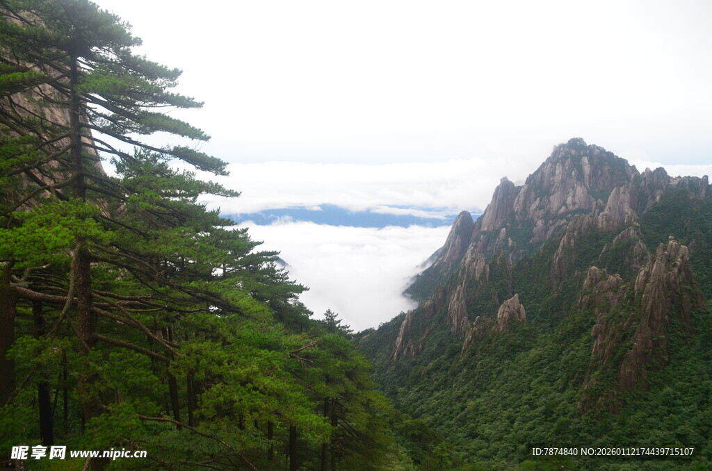 山峦绿意间云海缭绕