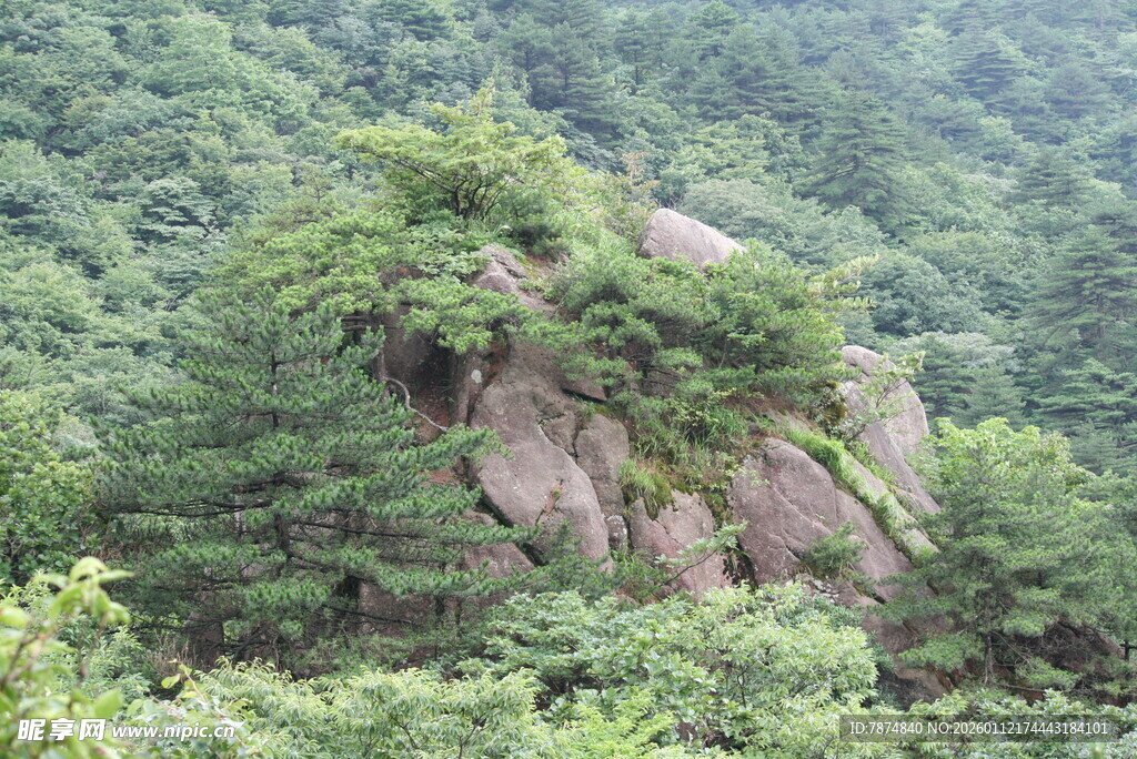 山林间的嶙峋岩石与绿树