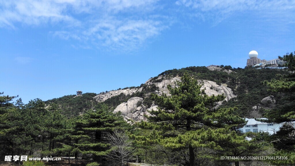 山巅松林与蓝天美景
