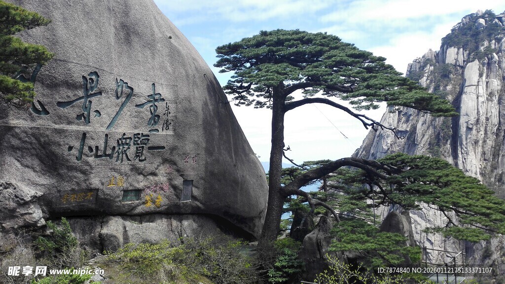 黄山奇松屹立于峭壁间