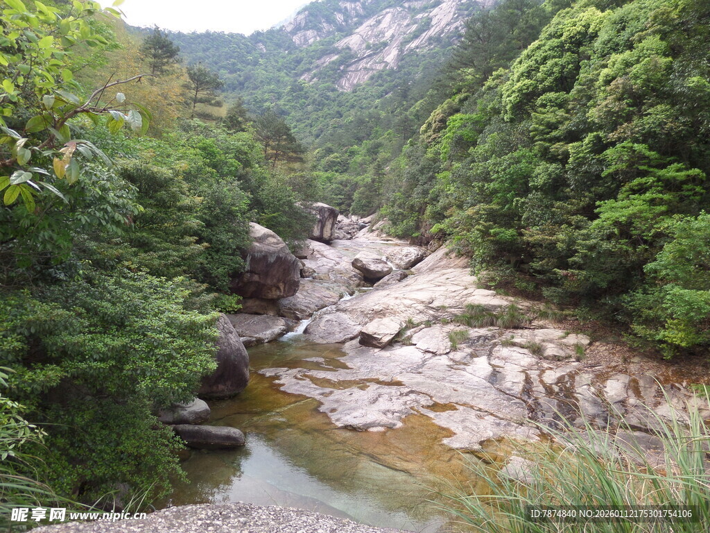 山间溪流 绿意盎然的景致