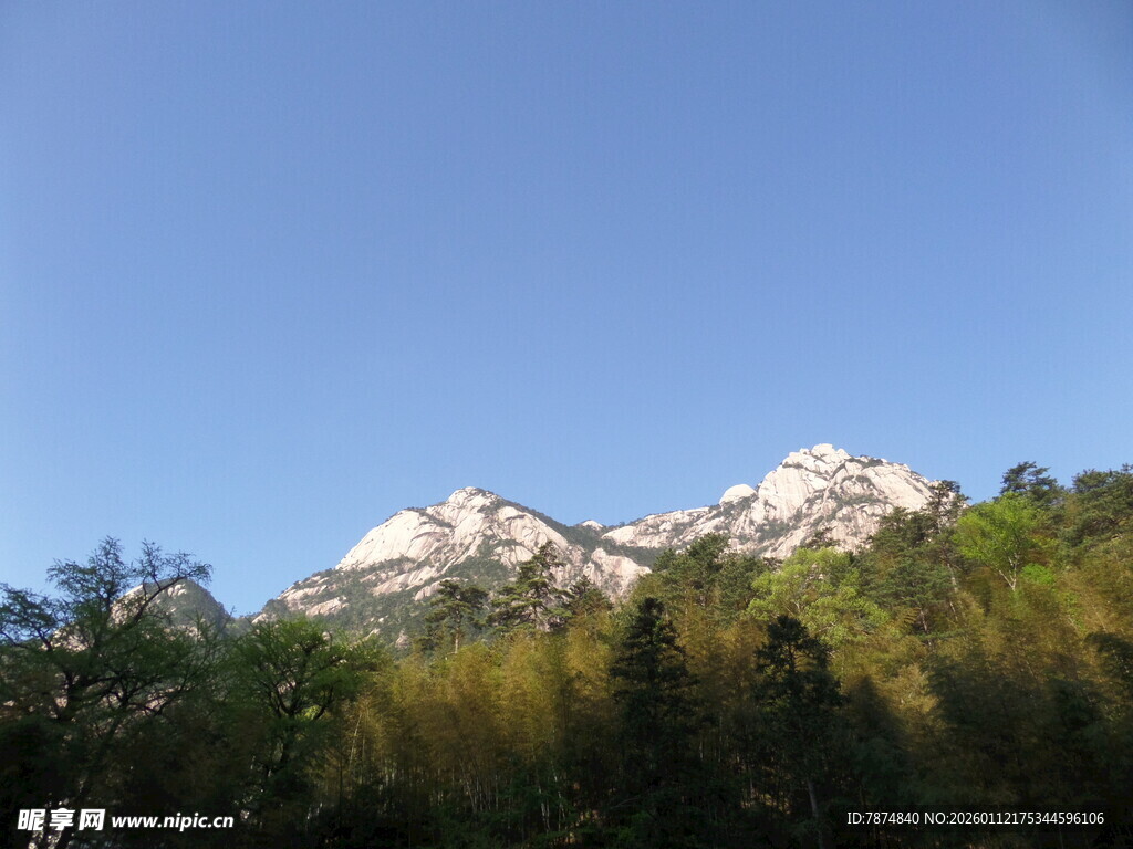 雪山下的葱郁山林