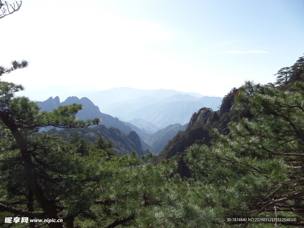 黄山美景 山峦与松林