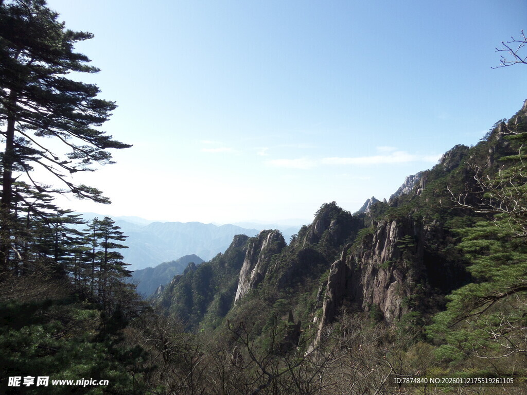 壮丽山景 葱郁山林