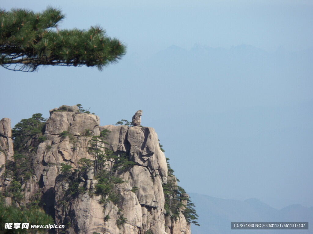 峻峭山峰上的孤松