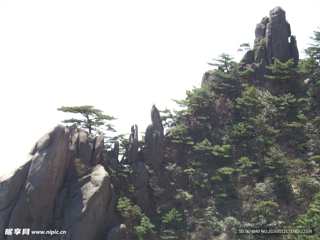 峻峭山峰上的翠绿植被