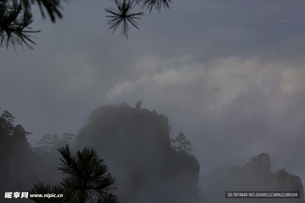 云雾缭绕的山林美景